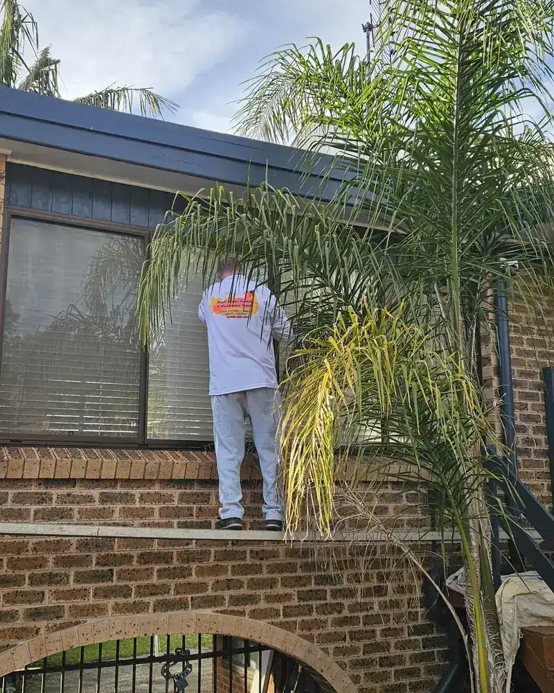 Brush Strokes Painting & Maintenance Service painter at work in the Illawarra